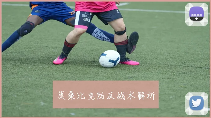 莫桑比克防反战术解析