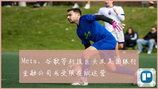 Meta、谷歌等科技巨头及美国银行金融公司或受限在欧运营