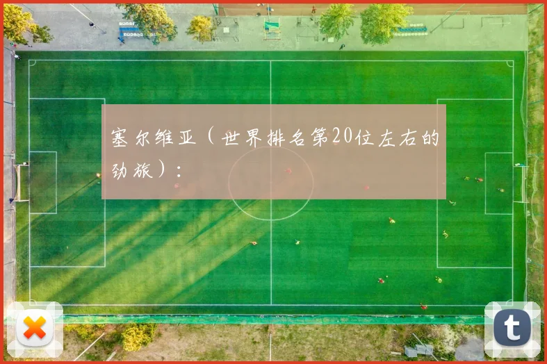塞尔维亚（世界排名第20位左右的劲旅）：