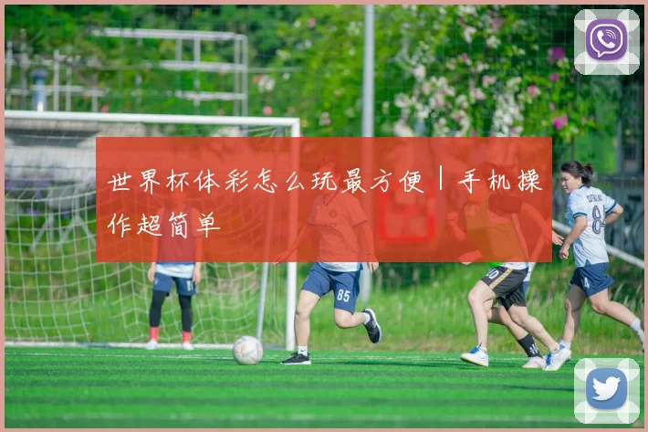世界杯体彩怎么玩最方便｜手机操作超简单