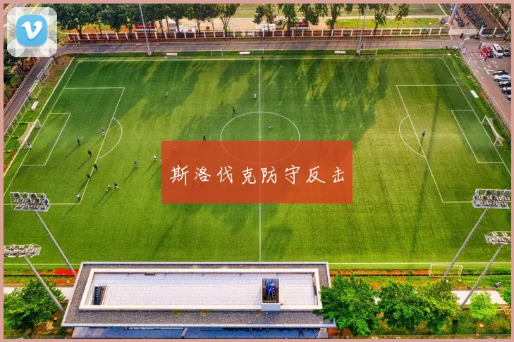 斯洛伐克防守反击