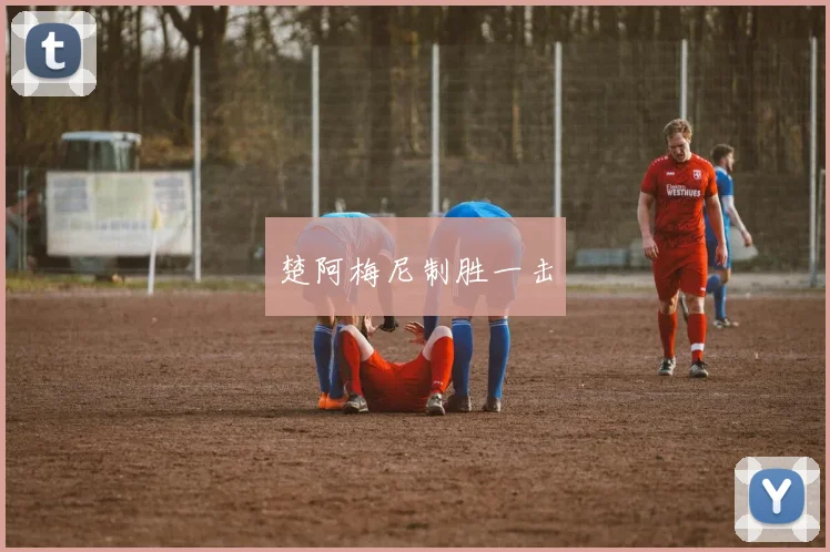 楚阿梅尼制胜一击
