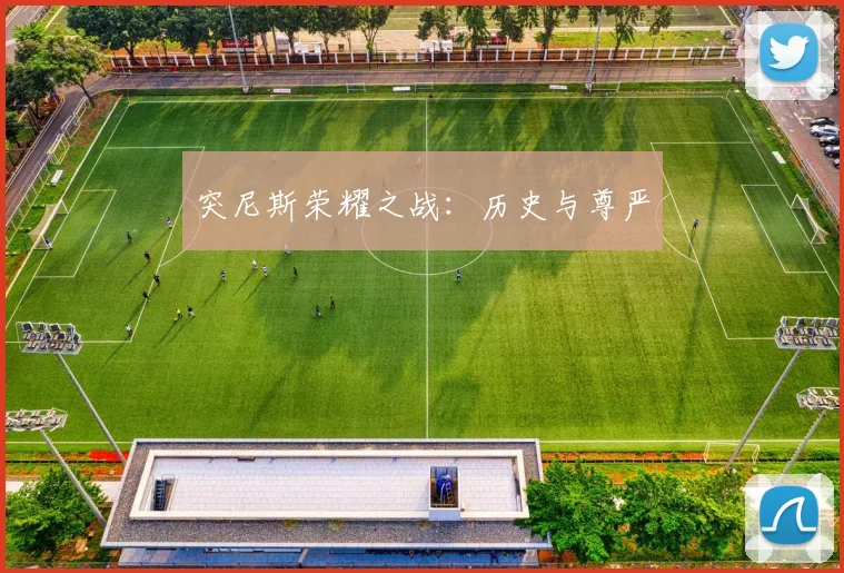 突尼斯荣耀之战：历史与尊严