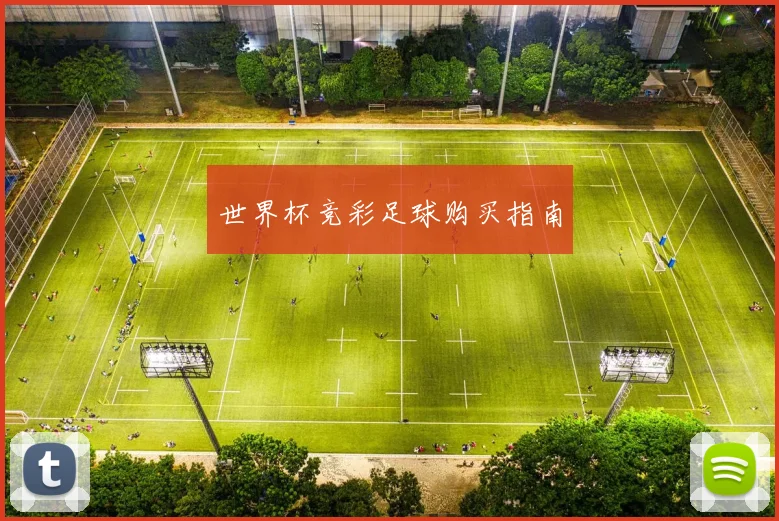 世界杯竞彩足球购买指南