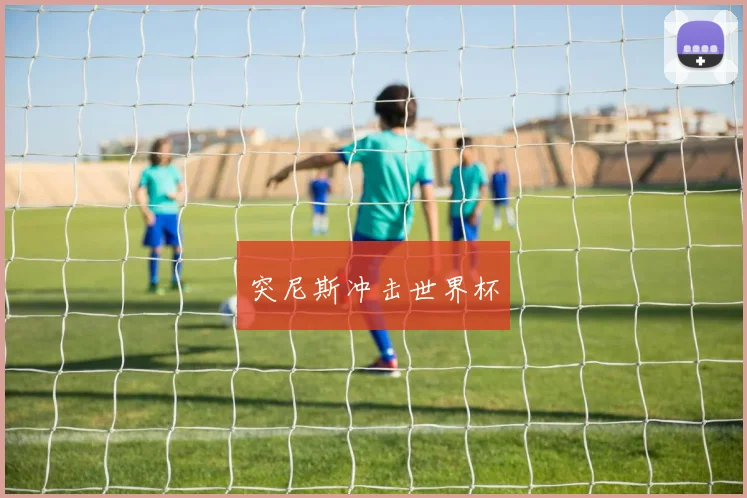 突尼斯冲击世界杯