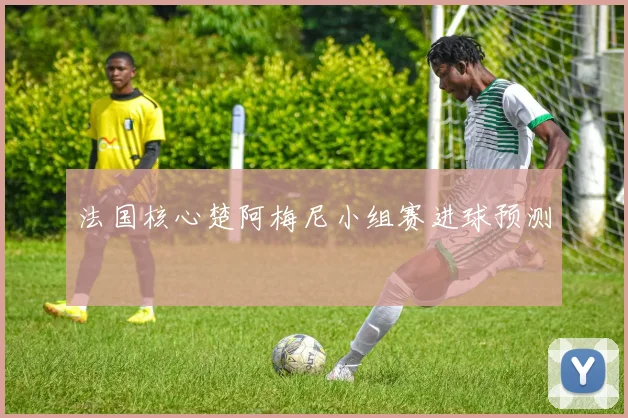 法国核心楚阿梅尼小组赛进球预测