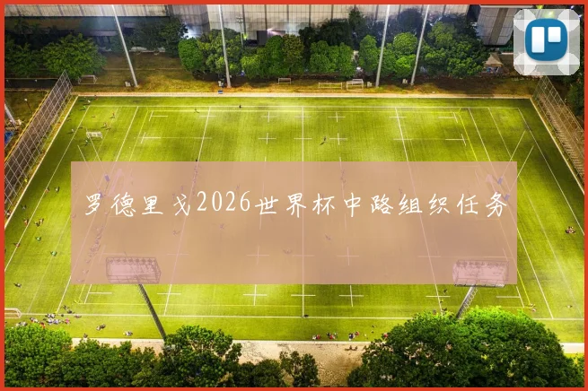 罗德里戈2026世界杯中路组织任务