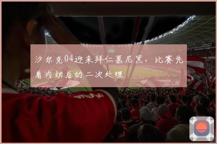 沙尔克04迎来拜仁慕尼黑，比赛先看内切后的二次处理