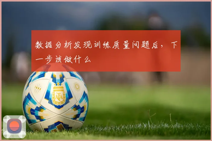 数据分析发现训练质量问题后，下一步该做什么